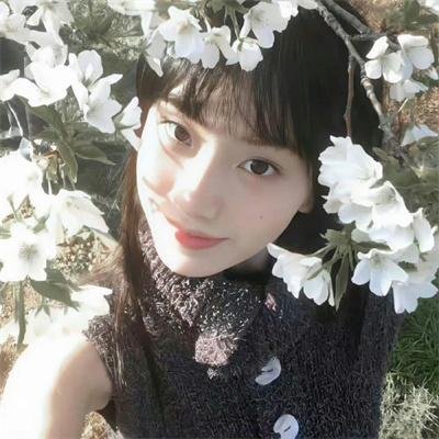 邪教教主养成指南
